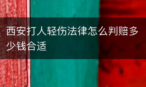西安打人轻伤法律怎么判赔多少钱合适