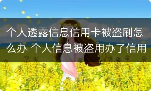 个人透露信息信用卡被盗刷怎么办 个人信息被盗用办了信用卡怎么办
