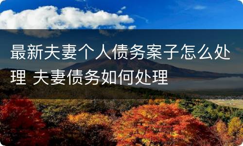 最新夫妻个人债务案子怎么处理 夫妻债务如何处理