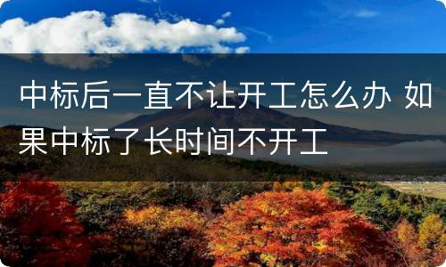 中标后一直不让开工怎么办 如果中标了长时间不开工