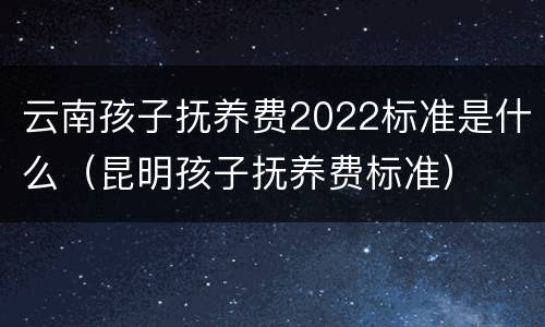 云南孩子抚养费2022标准是什么（昆明孩子抚养费标准）