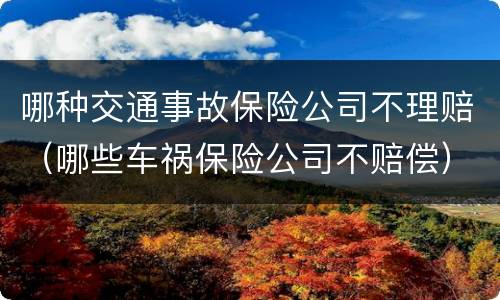哪种交通事故保险公司不理赔（哪些车祸保险公司不赔偿）
