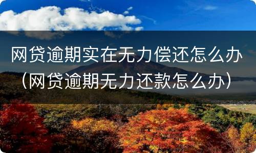 网贷逾期实在无力偿还怎么办（网贷逾期无力还款怎么办）