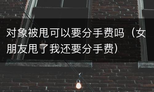 对象被甩可以要分手费吗（女朋友甩了我还要分手费）