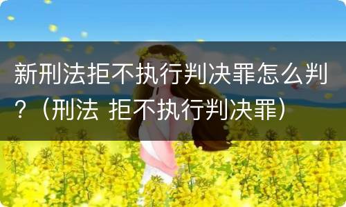 新刑法拒不执行判决罪怎么判?（刑法 拒不执行判决罪）