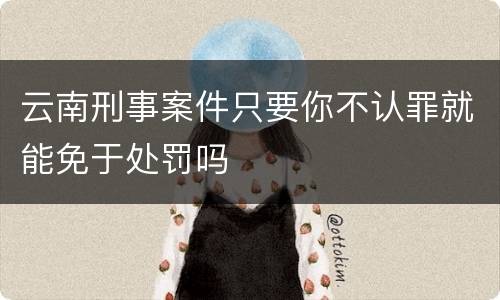 云南刑事案件只要你不认罪就能免于处罚吗
