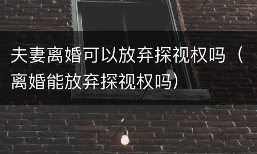 夫妻离婚可以放弃探视权吗（离婚能放弃探视权吗）