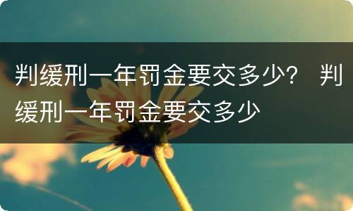 判缓刑一年罚金要交多少？ 判缓刑一年罚金要交多少
