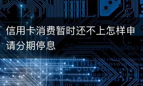 信用卡消费暂时还不上怎样申请分期停息