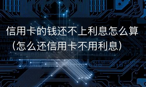 信用卡的钱还不上利息怎么算（怎么还信用卡不用利息）