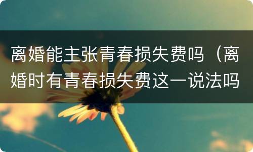 离婚能主张青春损失费吗（离婚时有青春损失费这一说法吗）