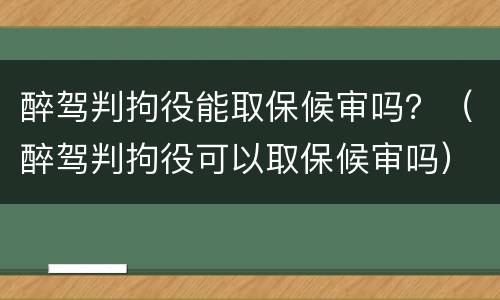 醉驾判拘役能取保候审吗？（醉驾判拘役可以取保候审吗）