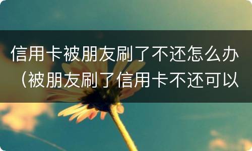 信用卡被朋友刷了不还怎么办（被朋友刷了信用卡不还可以报警吗）