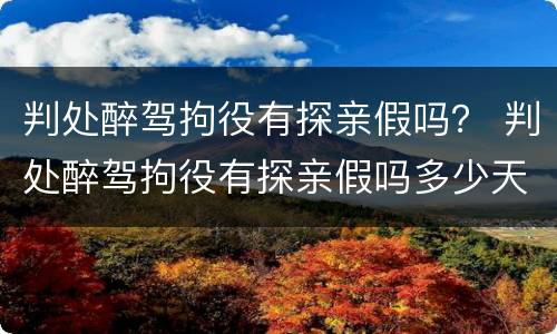 判处醉驾拘役有探亲假吗？ 判处醉驾拘役有探亲假吗多少天