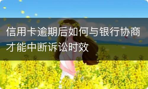 信用卡逾期后如何与银行协商才能中断诉讼时效