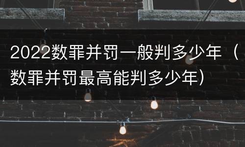 2022数罪并罚一般判多少年（数罪并罚最高能判多少年）