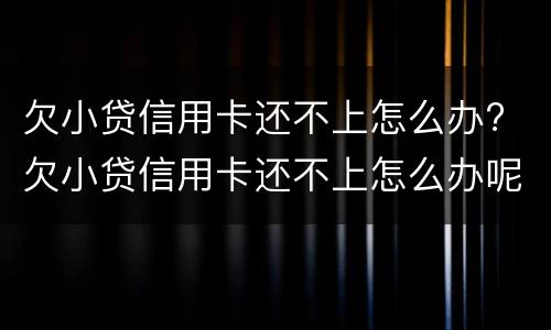 欠小贷信用卡还不上怎么办? 欠小贷信用卡还不上怎么办呢