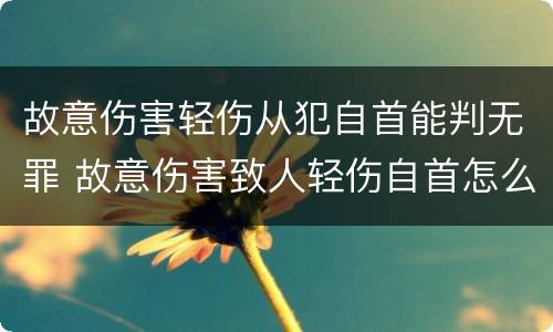 故意伤害轻伤从犯自首能判无罪 故意伤害致人轻伤自首怎么判