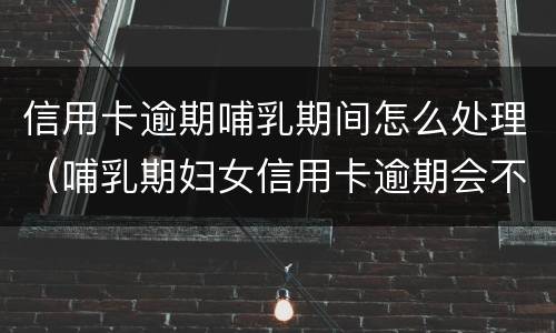 信用卡逾期哺乳期间怎么处理（哺乳期妇女信用卡逾期会不会被起诉）