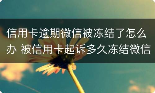 信用卡逾期微信被冻结了怎么办 被信用卡起诉多久冻结微信