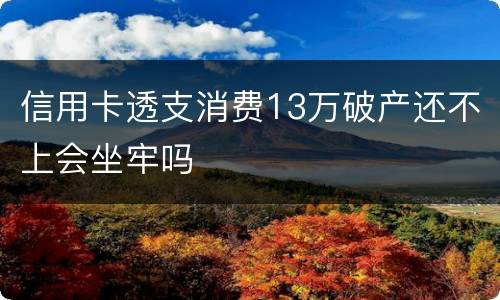 信用卡透支消费13万破产还不上会坐牢吗