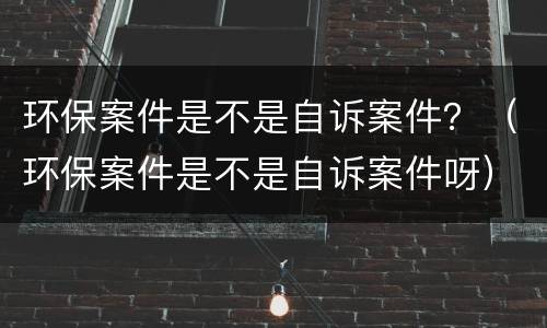 环保案件是不是自诉案件？（环保案件是不是自诉案件呀）