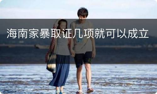 海南家暴取证几项就可以成立