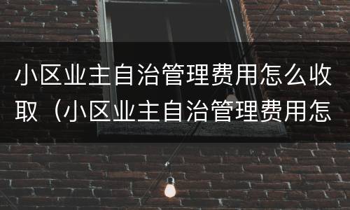 小区业主自治管理费用怎么收取（小区业主自治管理费用怎么收取合理）