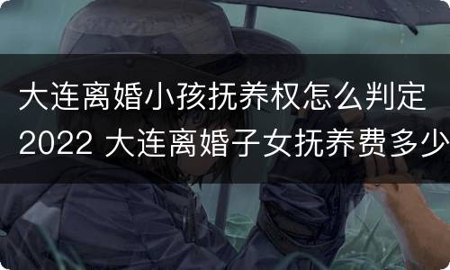大连离婚小孩抚养权怎么判定2022 大连离婚子女抚养费多少?