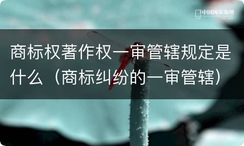 商标权著作权一审管辖规定是什么（商标纠纷的一审管辖）