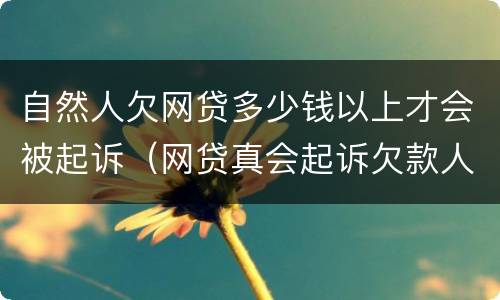 自然人欠网贷多少钱以上才会被起诉（网贷真会起诉欠款人吗）