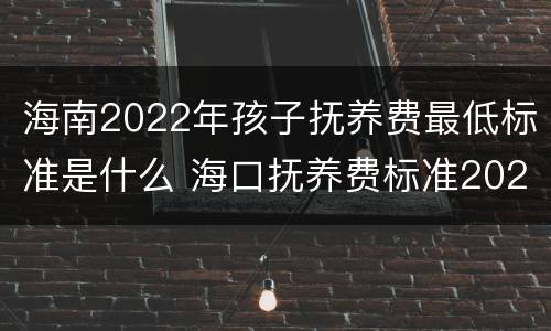 海南2022年孩子抚养费最低标准是什么 海口抚养费标准2020