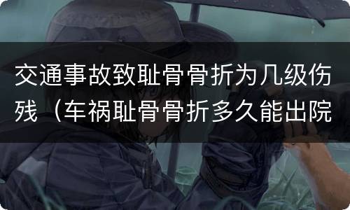 交通事故致耻骨骨折为几级伤残（车祸耻骨骨折多久能出院）