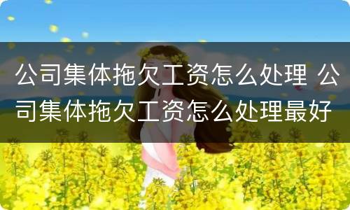 公司集体拖欠工资怎么处理 公司集体拖欠工资怎么处理最好