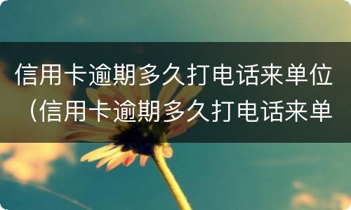 信用卡逾期多久打电话来单位（信用卡逾期多久打电话来单位调解）