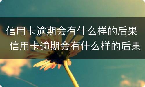 信用卡逾期会有什么样的后果 信用卡逾期会有什么样的后果和影响