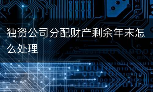 独资公司分配财产剩余年末怎么处理