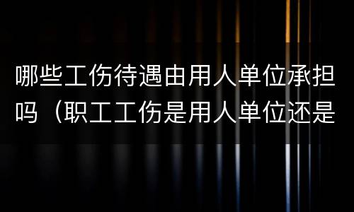 哪些工伤待遇由用人单位承担吗（职工工伤是用人单位还是用工单位承担）