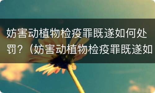 妨害动植物检疫罪既遂如何处罚?（妨害动植物检疫罪既遂如何处罚）