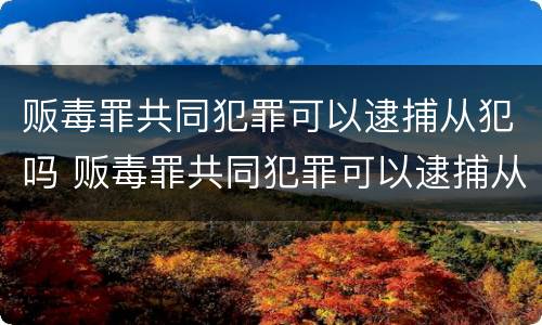 贩毒罪共同犯罪可以逮捕从犯吗 贩毒罪共同犯罪可以逮捕从犯吗怎么判