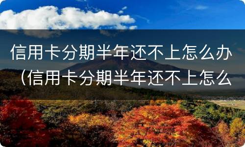 信用卡分期半年还不上怎么办（信用卡分期半年还不上怎么办呢）