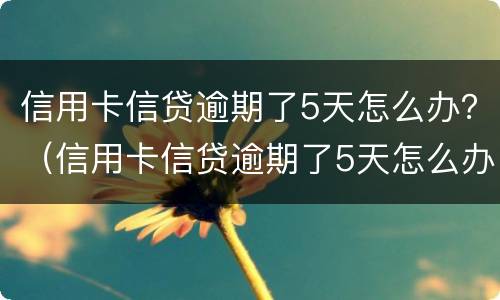 信用卡信贷逾期了5天怎么办？（信用卡信贷逾期了5天怎么办呢）