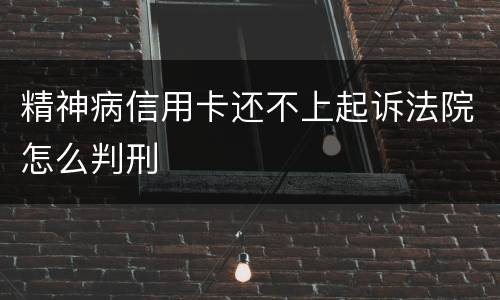 精神病信用卡还不上起诉法院怎么判刑