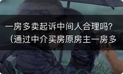 一房多卖起诉中间人合理吗？（通过中介买房原房主一房多卖）