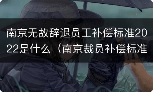 南京无故辞退员工补偿标准2022是什么（南京裁员补偿标准）
