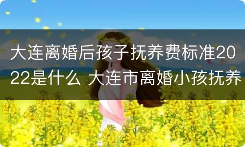 大连离婚后孩子抚养费标准2022是什么 大连市离婚小孩抚养费标准