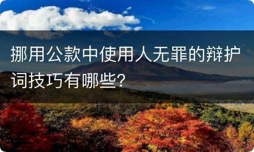挪用公款中使用人无罪的辩护词技巧有哪些？