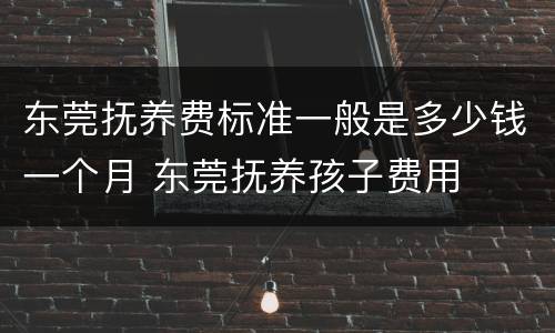 东莞抚养费标准一般是多少钱一个月 东莞抚养孩子费用