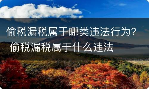 偷税漏税属于哪类违法行为？ 偷税漏税属于什么违法