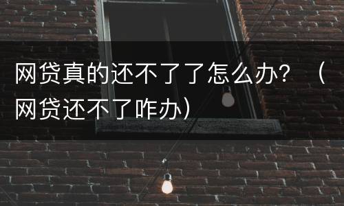 网贷真的还不了了怎么办？（网贷还不了咋办）